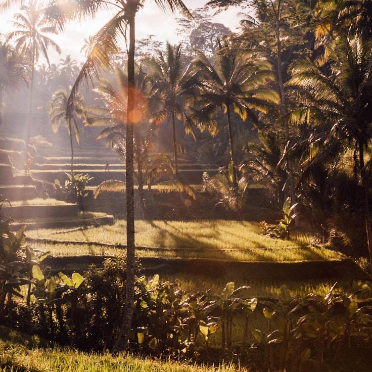 Entertainment zone at night in Italy